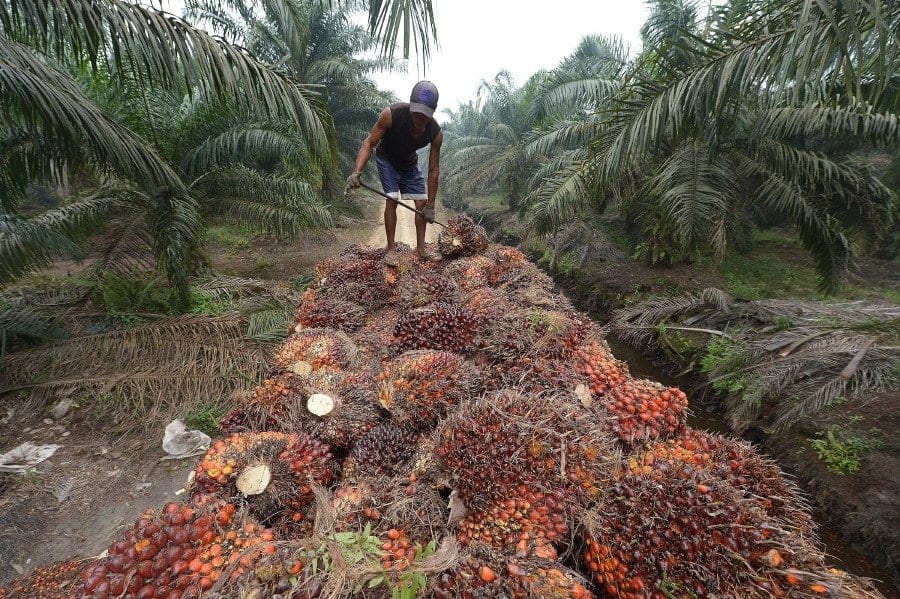 palmolie en bauxiet in maleisie