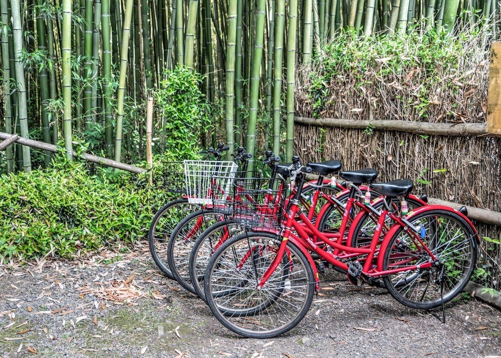 R_fietsen-in-kyoto.jpg